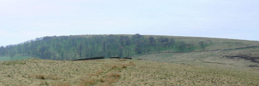 Burbage Edge Burbage Edge